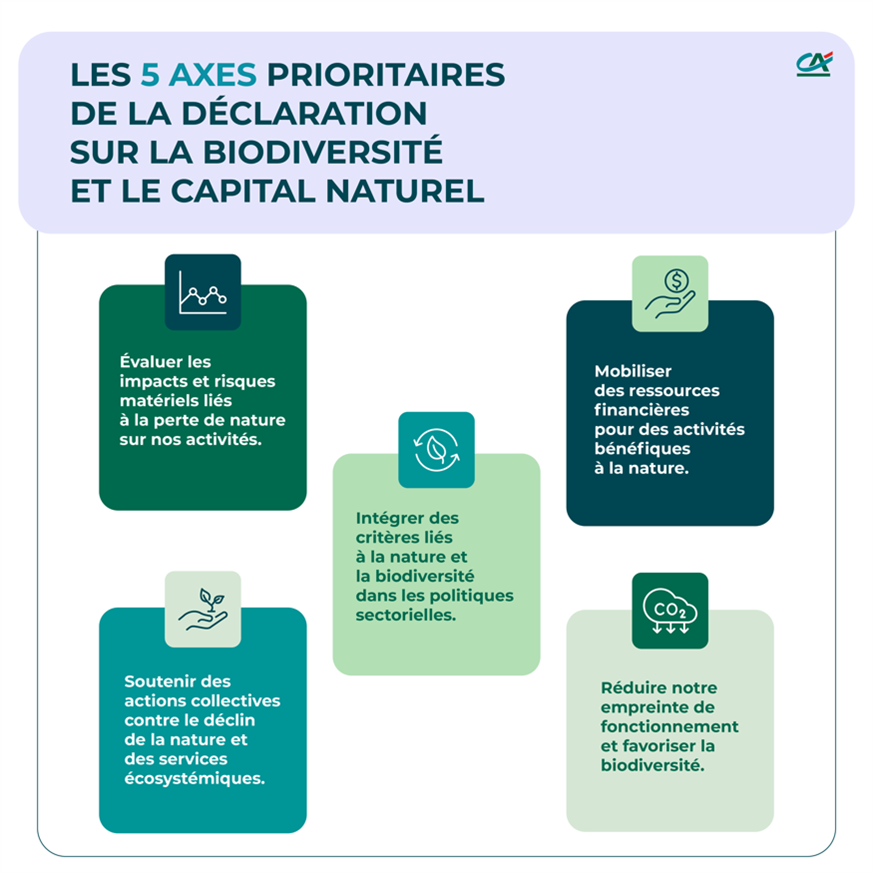 Les 5 Axes prioritaires de la d&eacute;claration sur la biodivrersit&eacute; et le capital naturel.png