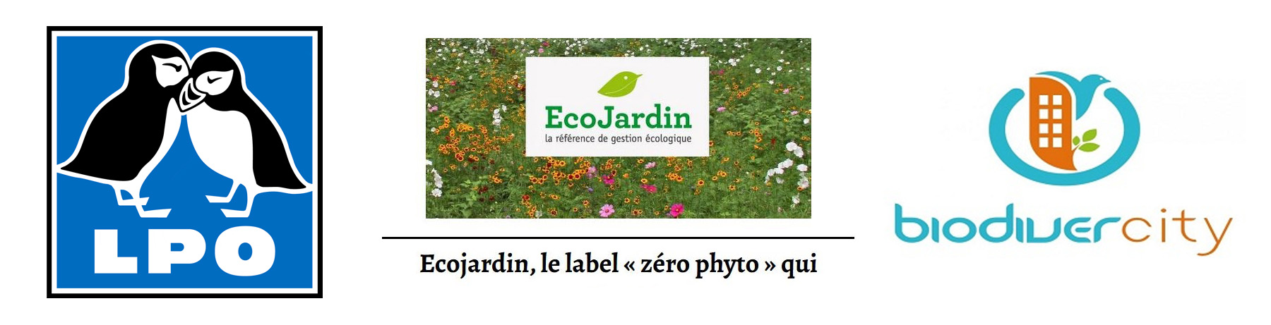 Labels - R&eacute;duire notre empreinte de fonctionnement V2.jpg