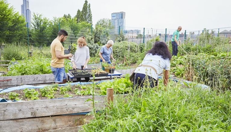 Ecoquartieri, una prima tappa verso la città sostenibile