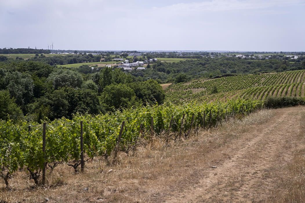 Galerie-RouteDesTransitions25-05.jpg