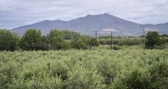 « Sur les Routes des transitions » met en lumière l’attractivité du sud de l’Occitanie face au stress hydrique