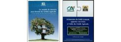Retour sur les 140 ans d’histoire du Crédit Agricole : Les années 2000 - Une nouvelle dimension