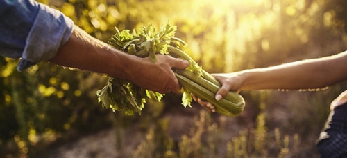 consommation en circuits courts - credit agricole banque et groupe france