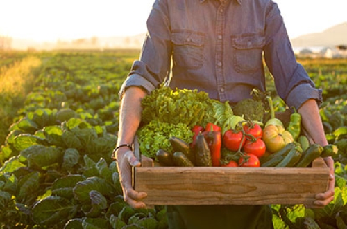 producteur local - credit agricole banque et groupe france